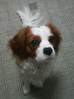 050224_rin.jpg